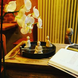 Mist vegetarian and vegan restaurant  at Mist in Prague