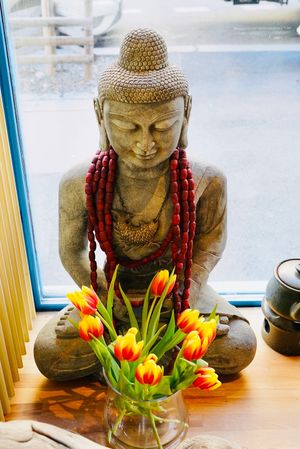 Love the earth and support environmental protection at Mist in Prague