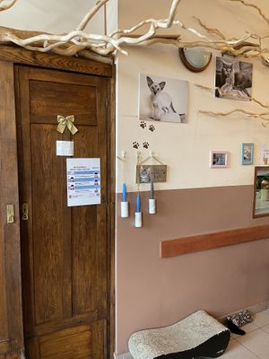 Lint rollers on the way out to get the hair off is a nice touch   at Cat Café Kociarnia in Krakow