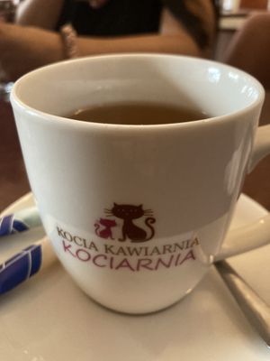 Tea  at Cat Café Kociarnia in Krakow