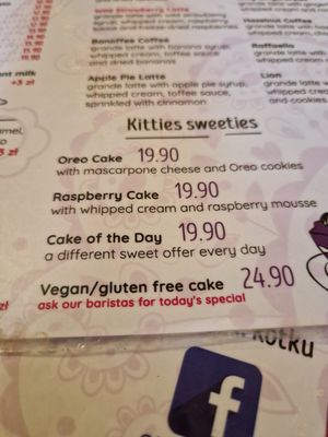  at Cat Café Kociarnia in Krakow