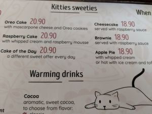 no vegan cake on menu anymore - got a short "no" when I asked about it to double check at Cat Café Kociarnia in Krakow