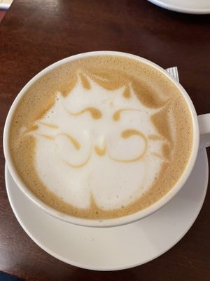 Fat cat coffee art  at Cat Café Kociarnia in Krakow
