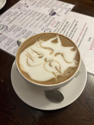   at Cat Café Kociarnia in Krakow