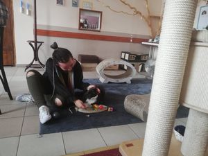 Amazing at Cat Café Kociarnia in Krakow