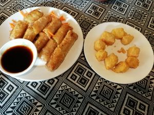Spring rolls and crispy tofo on the house at Sapa Classic Vegan in Sapa