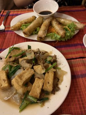 Fried tofu and spring rolls at Sapa Classic Vegan in Sapa