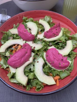 Fresh salad with avocado, carrots, lentils, beetroom hummus   at Gjelber in Tirana