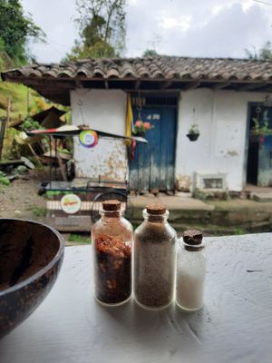  at Coco Bowl in Salento