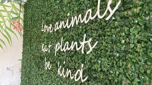   at Coco Bowl in Salento