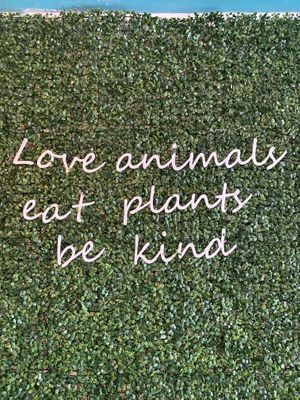   at Coco Bowl in Salento