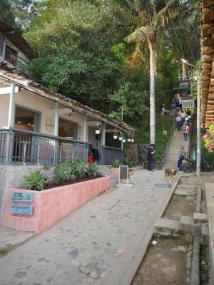  at Coco Bowl in Salento