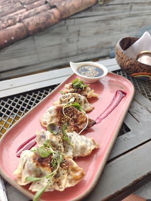 Gyozas at Coco Bowl in Salento