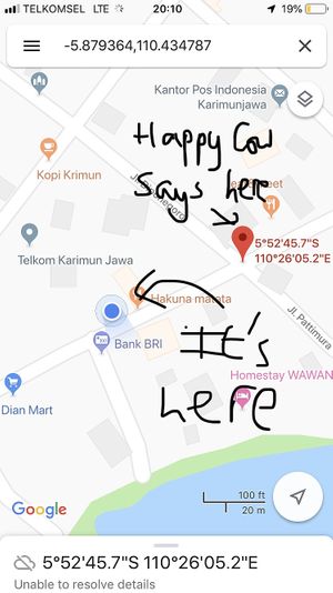 The correct location  at Hakuna Matata in 