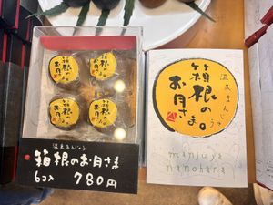   at Manjuya Nanohana in Hakone