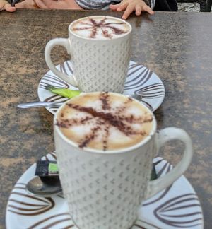 Cappuccino with oat milk at Natura Café in Albi