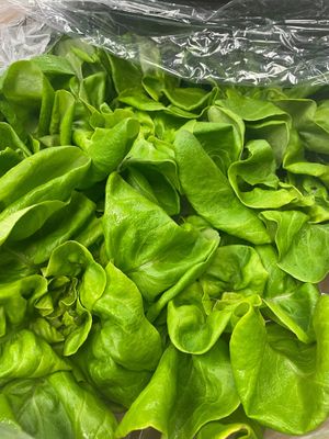  at Table 65 in New Richmond