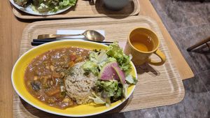 Vegan curry with brown rice at Solviva Yukisaryou in Osaka