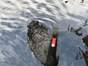 In der Nähe... Schwaben... at Vera Veggie in Detmold