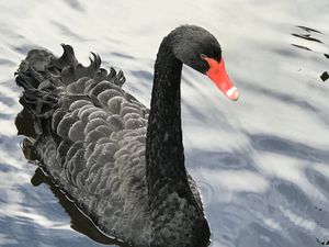 Zweite! at Vera Veggie in Detmold