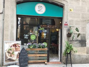 Falafel bowls  at Falafel Bowls in Barcelona