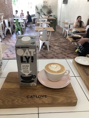 Very good quality oat milk available at no extra cost. Specialty coffee, always different origins and roasters, coffee prepared by a barista.  at Catlove Coffee in Gijon