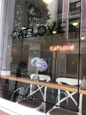 Catlove Coffee at Catlove Coffee in Gijon