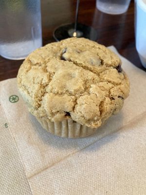 Vegan, gluten-free chocolate chip cupcake  at Simple Cafe in Asheville