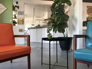 Beautiful interior at Simple Cafe in Asheville