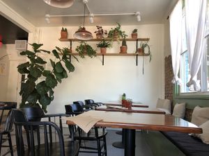 Cozy setting with lots of plants at Simple Cafe in Asheville