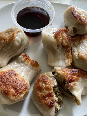 Fried Vegetable Dumplings  at Han Noodle Bar in Rochester