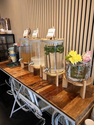   at Vegan Burger in Dornbirn