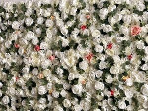 Decoration at Vegan Burger in Dornbirn