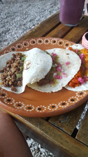 Soy based 'steak' and carrot based 'pibil' at Aguacate Limon in Tulum