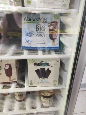 Vegan Ice creams at Vertente dos Sabores - Feira in Santa Maria Da Feira