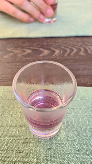 Tasting  a local herbal liquor 🌿 at Dalmatino in Hvar