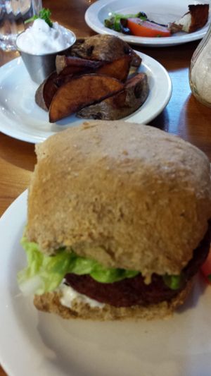 Vegan burger and potato wedges at The Treehouse Restaurant in Aberystwyth
