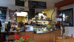 Restaurant counter at The Treehouse Restaurant in Aberystwyth