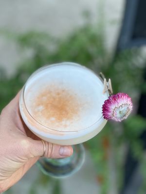  at Goldfinch in Black Mountain