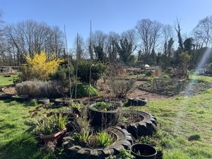 Gardens where they hold a horticulture group for people with mental health difficulties   at Nourish in Letchworth