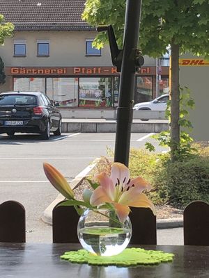 Table setting  at Veggie Oase - Maybe closed in Oberasbach