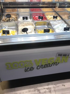 Vegan side: chococino, hazelnut, mango yogurt, kokos and some fruit sorbets    at Oyya in Ghent