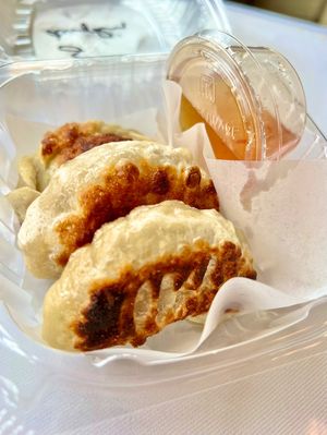 Grilled organic dumplings 🥟 (3 for $3!)  at Loving Hut in Cincinnati