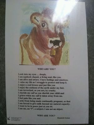 artwork at Loving Hut in Cincinnati