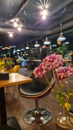  at Black Rabbit in Chisinau