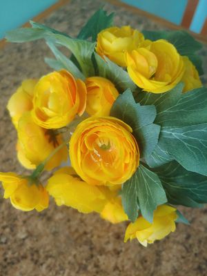  at Anna's Vegan Plate in Palm Bay