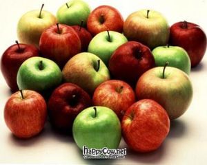 fresh juiced organic locally grown apples.  A pint for $4. at Earth House in Indianapolis