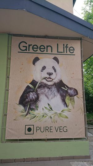 Find this cute panda near the entrance at Green Life in Ternopil
