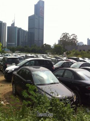 It sits inside this park with various automobile dealerships and restaurants at Yunlaiju - Windlucky - Futain District in Shenzhen