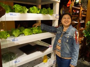 - at Yunlaiju - Windlucky - Luohu District in Shenzhen